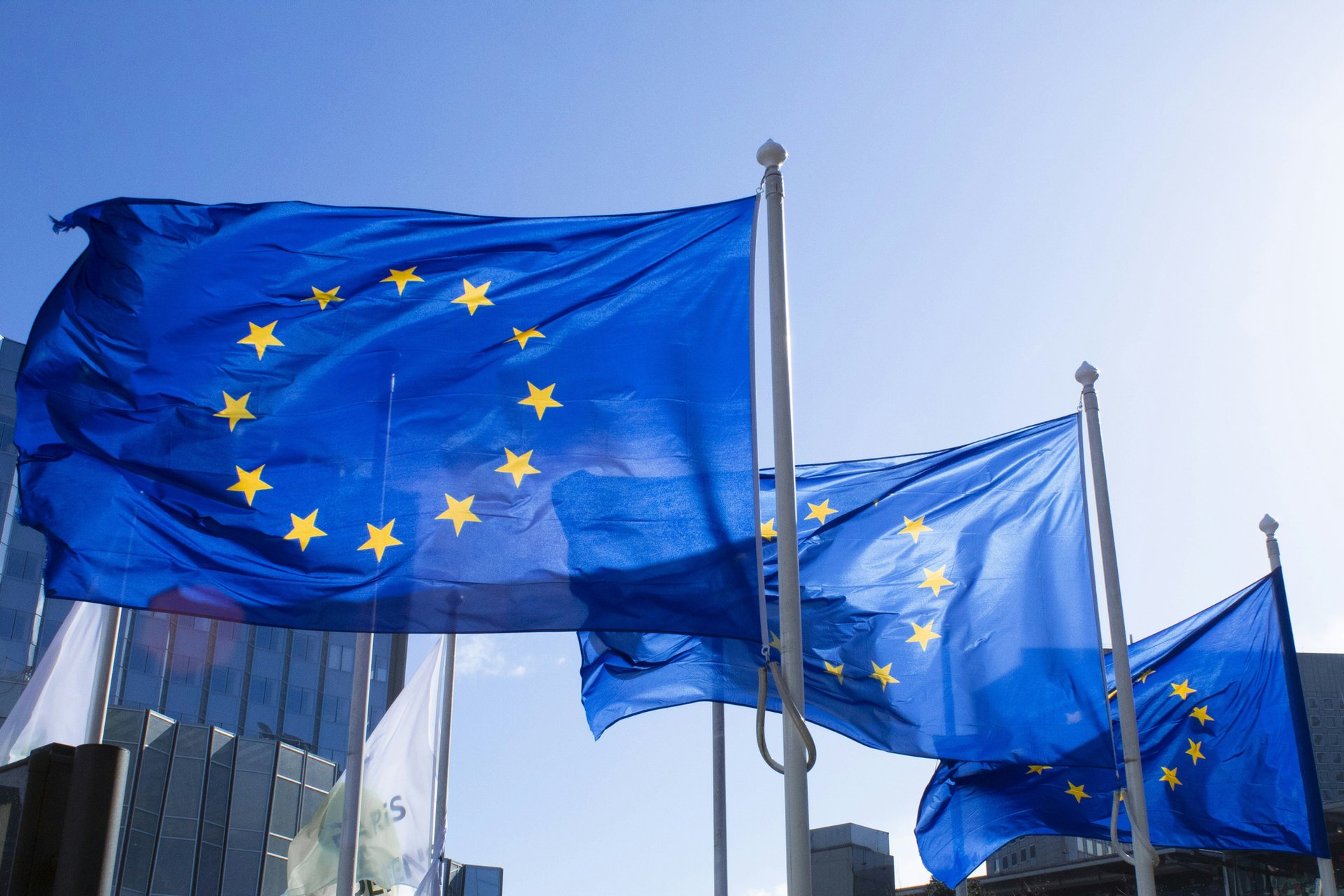 EU Flags Flying